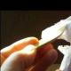 Как сделать лошадь оригами